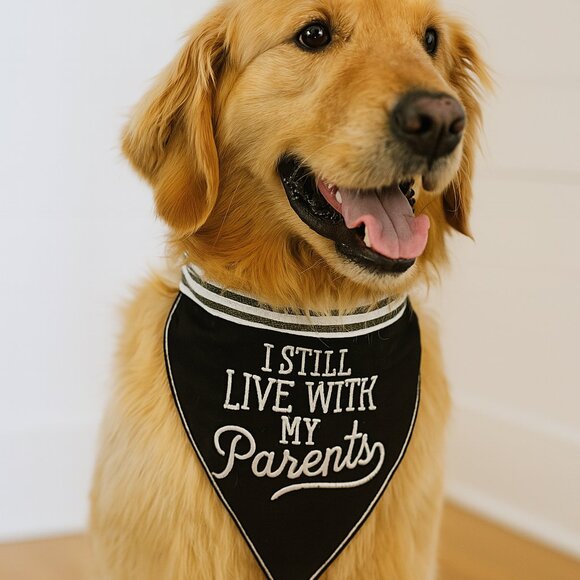 Funny Embroidered Pet Bandana: "I Still Live With My Parents" - Dog/Cat Scarf - Picture 2 of 3